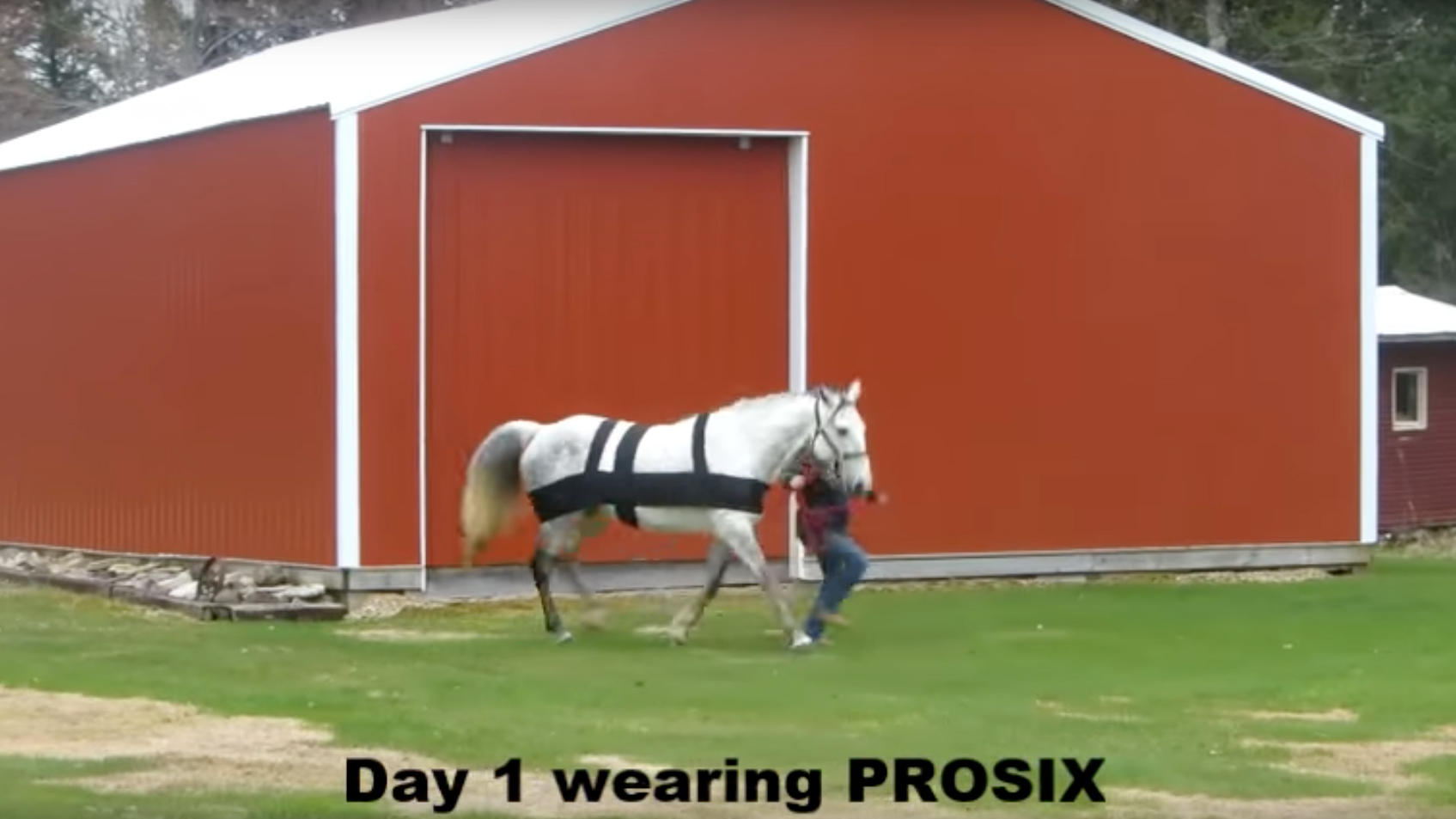 ProSix - TWH Post EPM Treatment - 1 Year Later