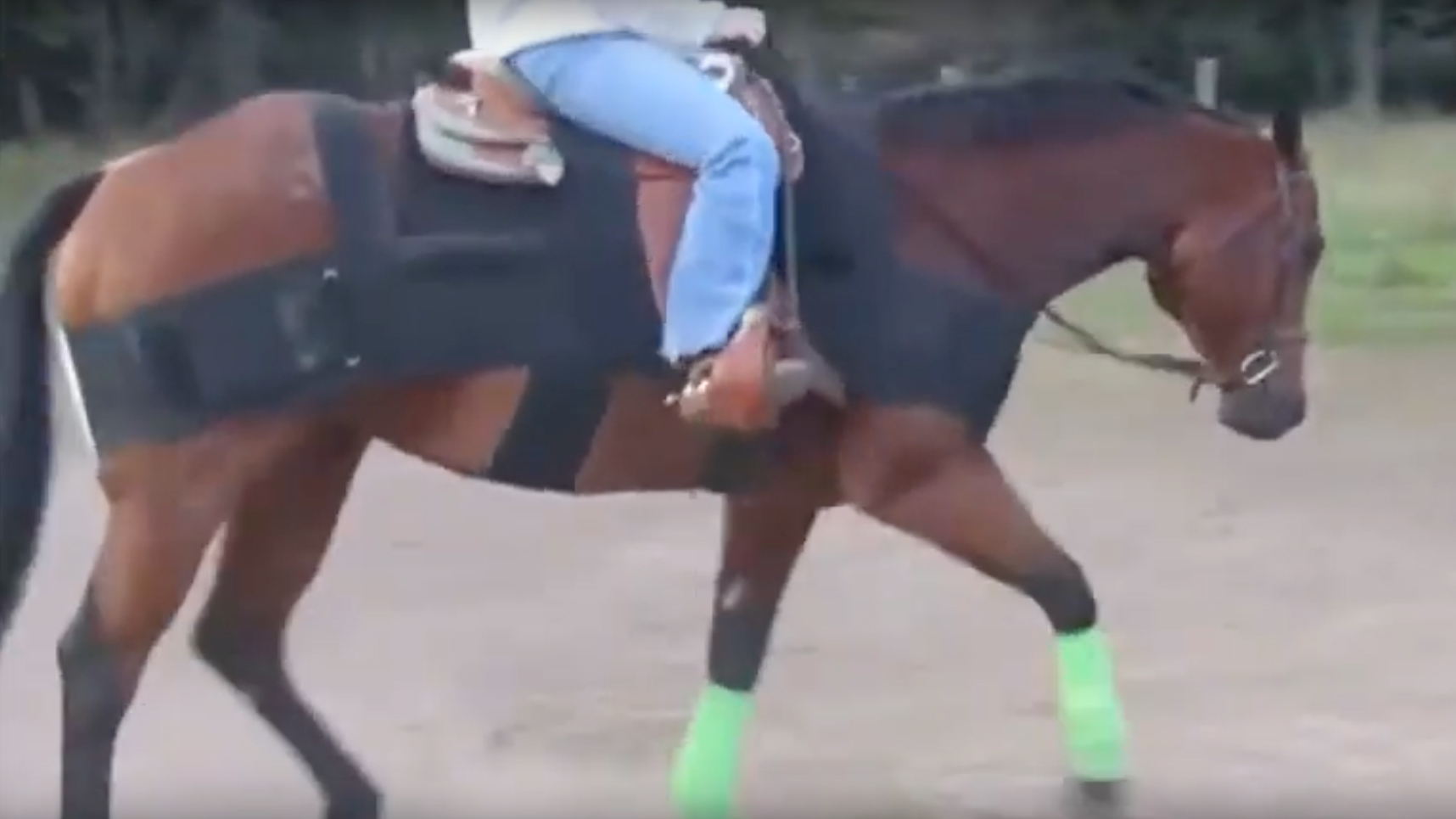 ProSix: Getting Your Horse to Track Underneath Himself