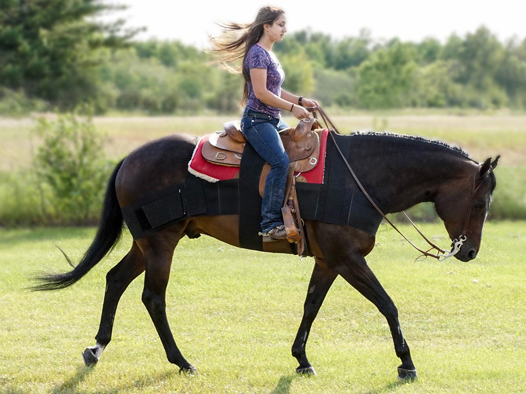 Girl riding a horse in a field.