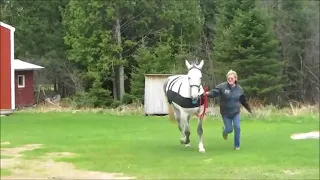 ProSix   TWH Post EPM Treatment   1 Year Later